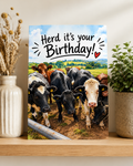 Herd Birthday Greeting Card
