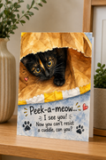Peek-A-Meow Greeting Card