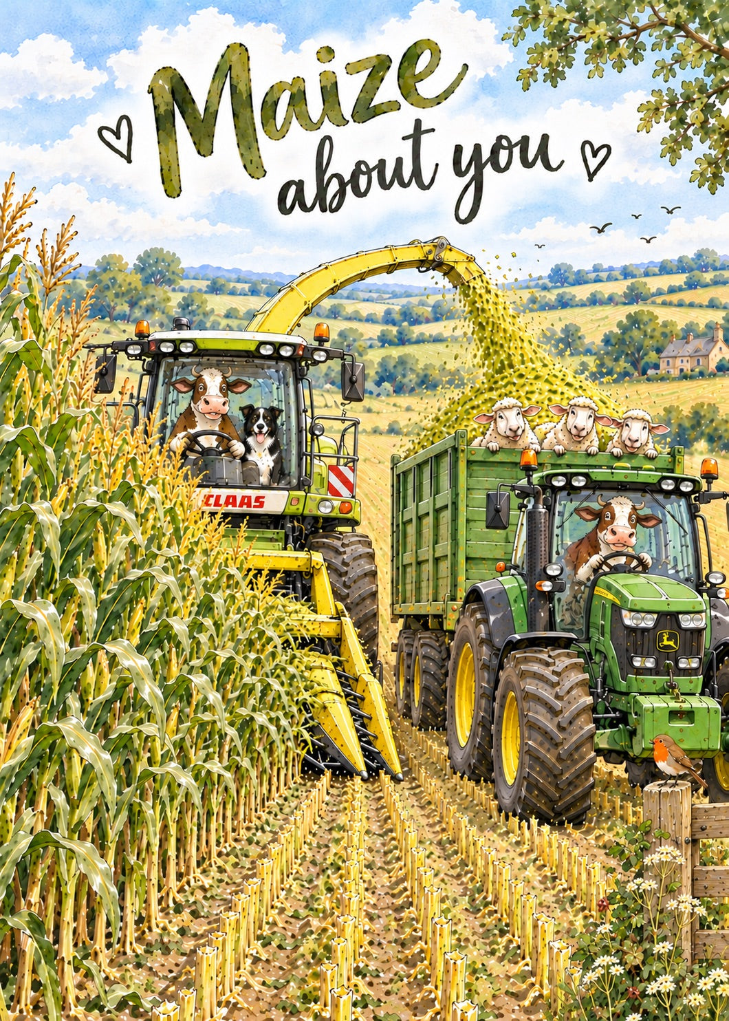 Maize About You Greetings Card